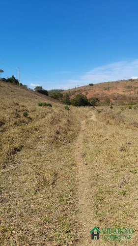 Imagem 11 de 15 de Fazenda Com Muita Água Em Peçanha - 3120