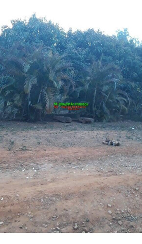 Imagem 4 de 5 de Chácara Em Jambeiro - Semi Plana Com Água Nos Fundos - 2109