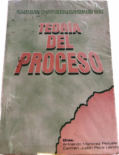 Teoria Del Proceso Derecho