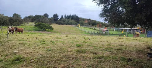 Lote En Venta En El Rodeo. Cod V16825