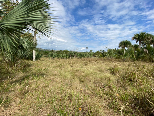 Vendo Terreno En Higuey, 600 Tareas. Rd$ 250,000 Por Tarea 