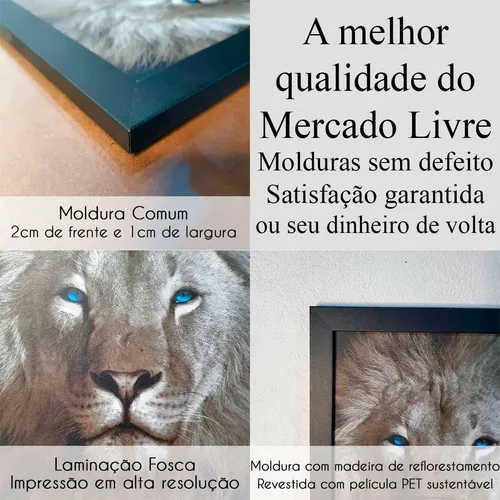 Quadro Arquivo X I Want To Believe Moldura A2 Premium