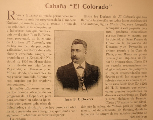 Revista Rojo Blanco Turf  Cabaña El Colorado Etchevers 1901