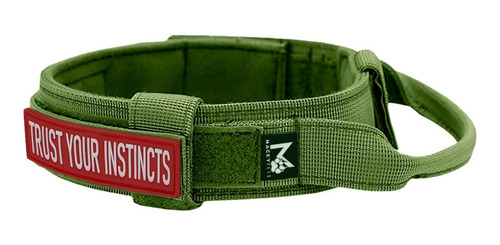 Imagen 3 de 10 de Pechera Táctica Perro + Collar + Paseador + Parche /talla Xl