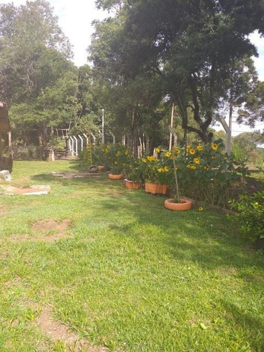 Imagem 8 de 20 de Chacara - Ch00010 - 34796249