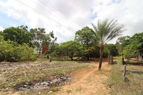 Granja Com 85 Mil M² - Casa Principal Com 3 Dormitórios À Venda - Emaús - Parnamirim/rn - Ch0002 - Ch0002