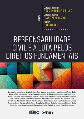 Responsabilidade Civil E A Luta Pelos Direitos Fundamentais - 1ª Ed - 2023, De Ana Carla Harmatiuk Matos., Vol. 1. Editorial Editora Foco, Capa Mole Em Português, 2023