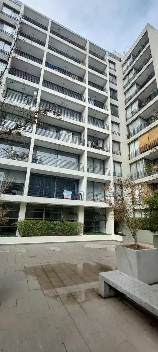 Imagen 5 de 20 de Vergara (120924)