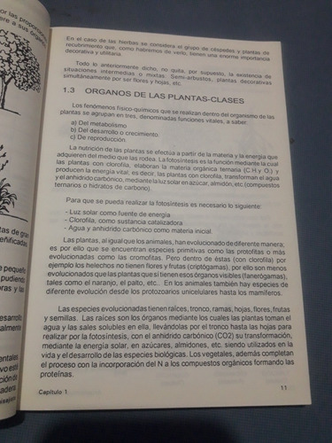 Libro Arquitectura Paisajista Árboles De Rafael Cubas (Usado)