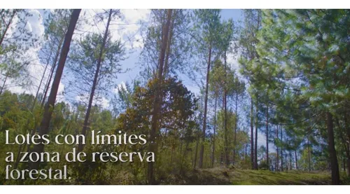 Venta De Lote Vía Don Diego La Ceja