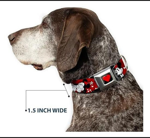 Collar De Perros Del Cinturón De Seguridad De La Hebilla & &