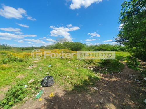Imagem 2 de 3 de Terreno, 295296.43 M², Rubem Berta - 202672