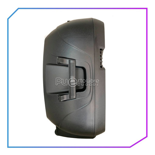 Potente Parlante Amplificado 15 Bluetooth Usb Radio 90000 W