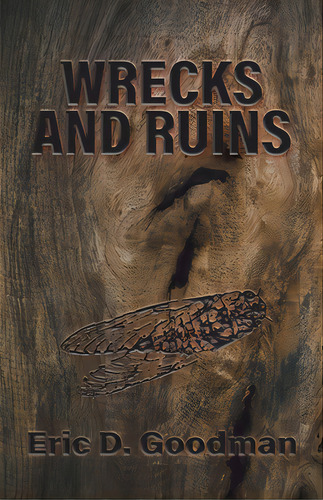 Wrecks And Ruins, De Goodman, Eric D.. Editorial Loyola College, Tapa Blanda En Inglés