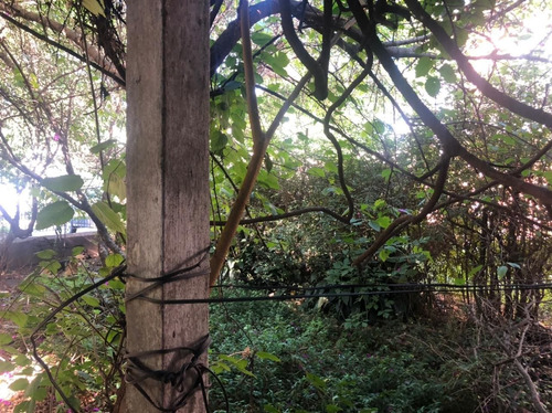 Imagen 13 de 16 de Terreno En Venta En San Miguel