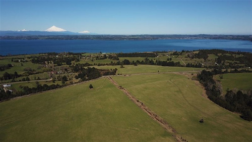 Imagen 13 de 16 de Agrícola En Venta En Río Bueno