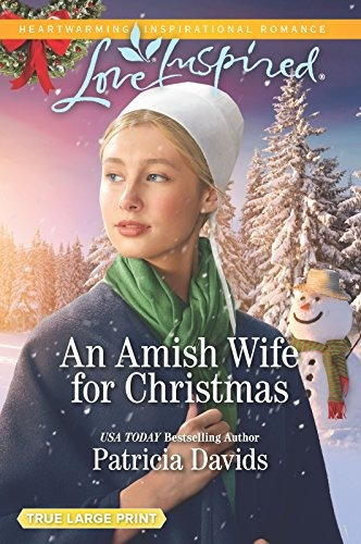 An Amish Wife For Christmas (north Country Amish)