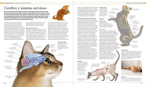 Gato - La Enciclopedia - Varios Autores