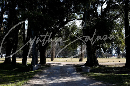 Imagen 11 de 12 de Venta Lote De Chacras De San Andres Carlos Keen