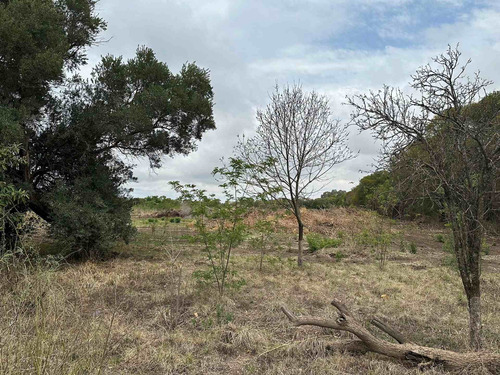 Imagen 11 de 12 de Venta Campo 6 Has - Villa Esquiu