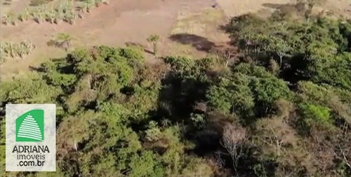 Venda Charas De Lazer Campo Limpo De Go 15 Km De Anápolis - 5440