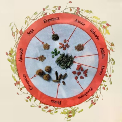 Imagen 4 de 5 de Alimento Gourmet Para Conejo, Cuyo, Hamster Comida Premium