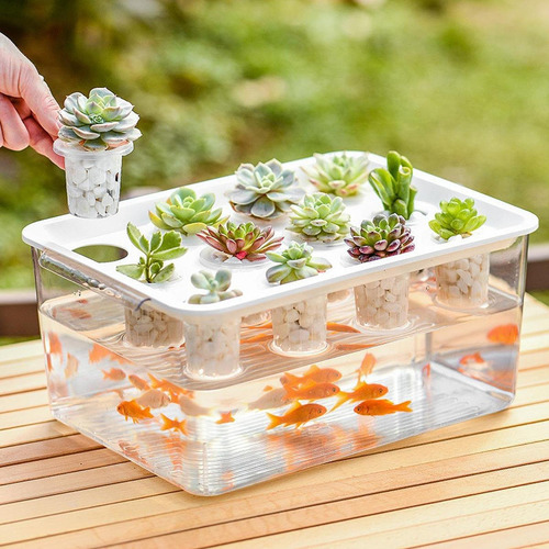 Caja De Hidropónico, Contenedor De Plantación Con