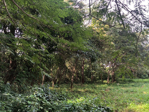 Terreno En Venta En Don Ventura
