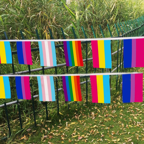 Bandeiras Do Orgulho Gay 10 M/40 Unidades 14* 21 Cm Lésbicas