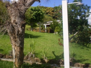 Oportunidade Casa Campo - 1262