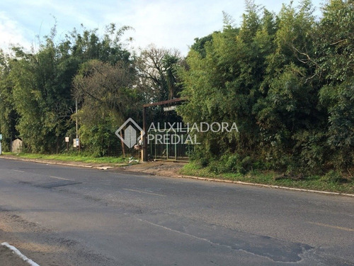 Imagem 2 de 15 de Terreno - Barnabe - Ref: 267395 - V-267395