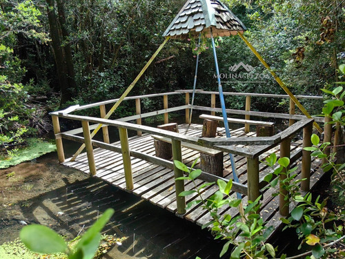 Parcela Con Cabañas En Curacautín