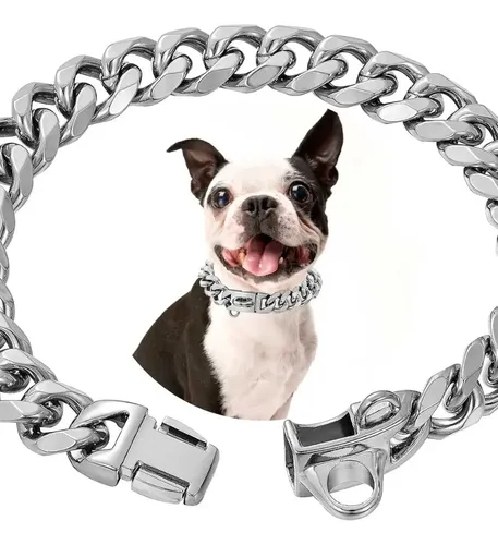 Coleira Para Cachorro Em Aço Inox 14mm Prateada 26cm Prateado 26 Cm ...