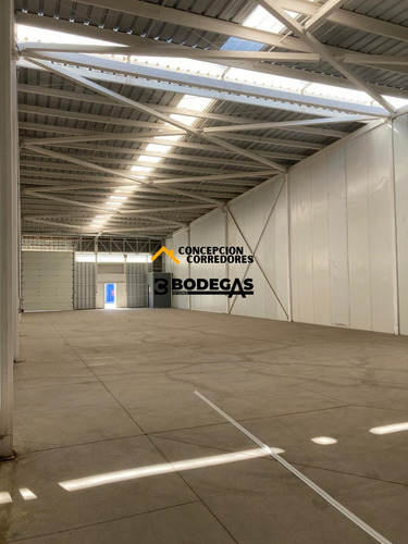 Arriendo Bodega De 300 M2 En Camino A Noviciado.
