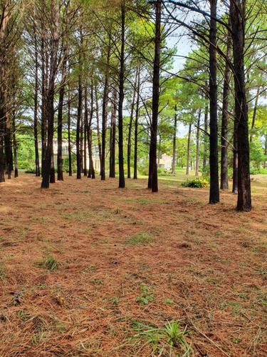 Imagen 10 de 17 de Pinares - 2 Ambientes A Estrenar - Parrilla Y Cochera