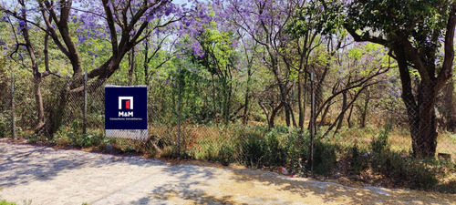 Terreno En Venta En Lomas De Chapultepec