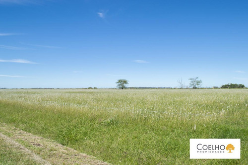 Imagen 9 de 30 de Terreno - Carmen De Areco