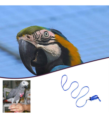 Correa Para Pájaros, Loros, Antimordeduras, Multicolor, Lige