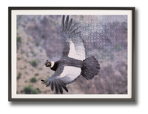 Imagen 3 de 4 de Puzzle 1.000 Piezas Animales: Cóndor Fauna Chilena
