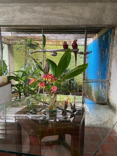 Imagen 8 de 14 de Casa En Venta En Prados Del Este