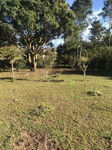 Chácara Com 3 Dormitórios À Venda, 3000 M² Por R$ 650.000 - Monte Negro - Santa Isabel/sp - Ch0083