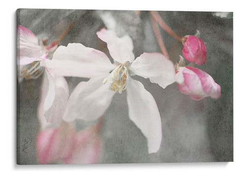 Canvas Lab Cuadro Velvet Grew Ii 135x90, Judy Stalus