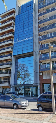 Parque Rodo Alquiler Oficinas Premium Frente Al Mar