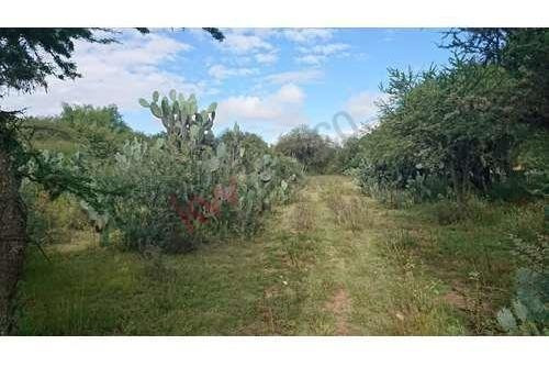 Imagen 23 de 25 de Venta Terreno 25 Mil M2 Cadereyta Queretaro Cerca De Peña De Bernal Tequisquiapan San Juan Del Rio Viñedos Quesos Planetario