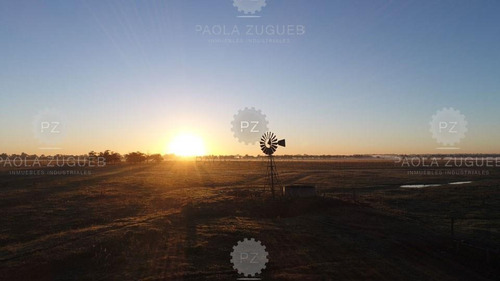 Imagen 12 de 20 de Terreno Emp. Rural En Venta Ubicado En San Vicente, G.b.a. Zona Sur