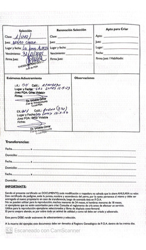 Servicio Ovejero Aleman - Busco Novia - Busco Hembra - Monta