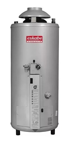 Imagen 1 de 8 de Termotanque Multigas Eskabe Acquapiu Nuevo Modelo A5 800lt/h