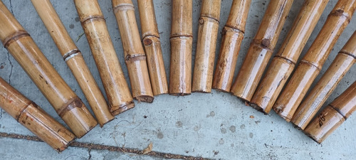Barrote Bambú Tratado Uso Techado Y Construcción 5pz Oaxaca
