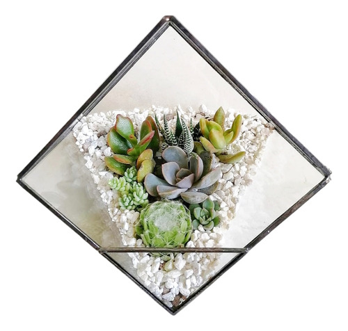 Terrario Amatista Chico Plantas Naturales 14.5cm X 14cm