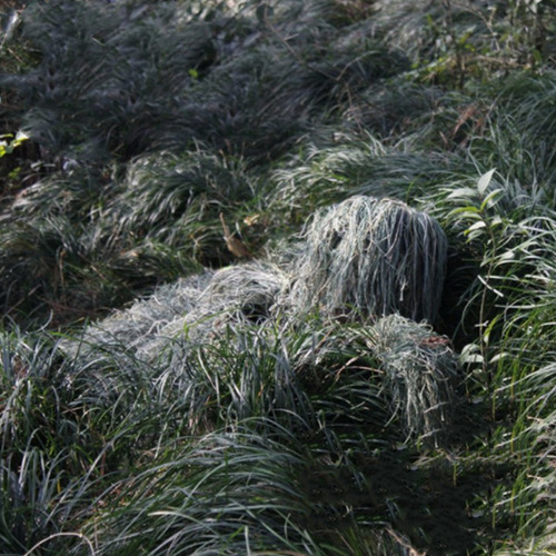 Traje De Camuflaje Ghillie Para Niños Al Aire Libre, Traje D